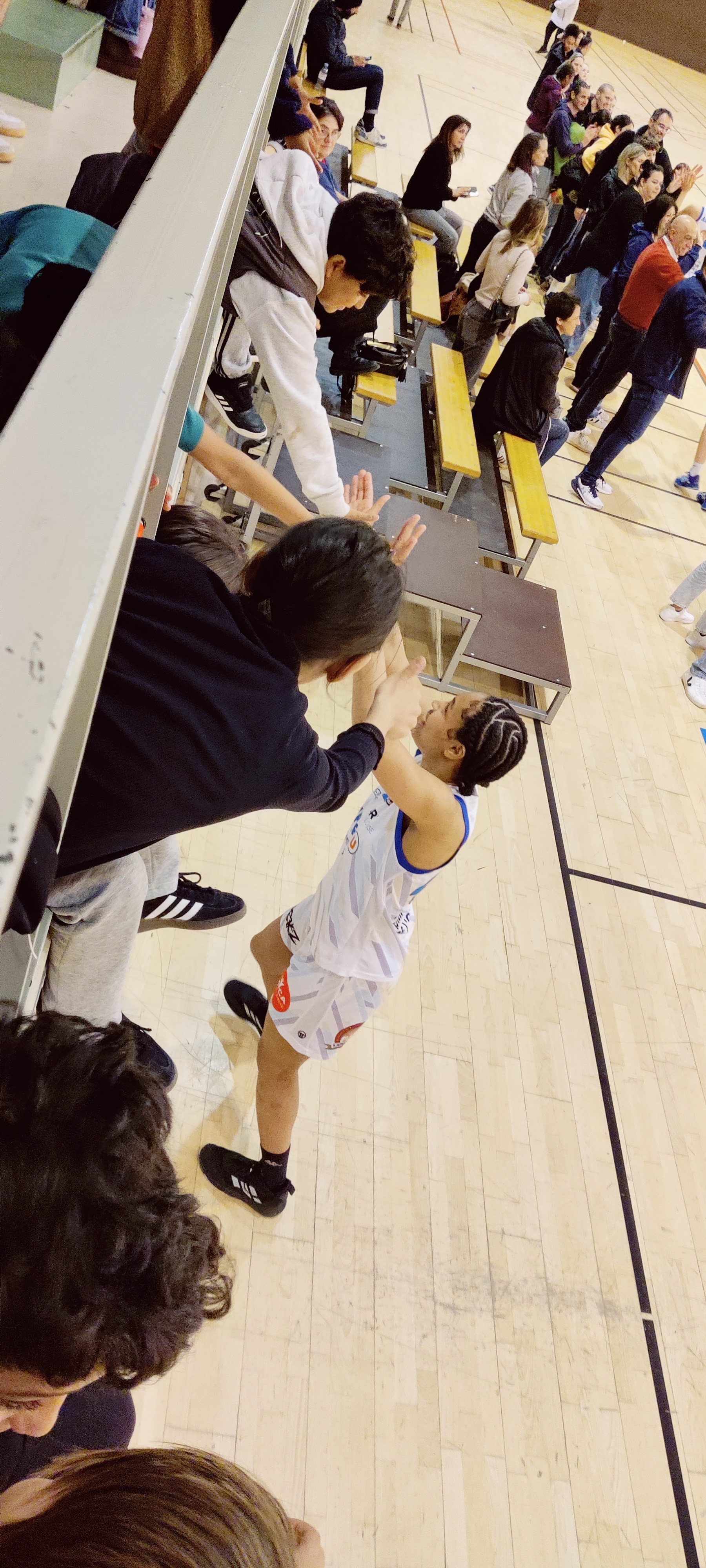 basket colomiers